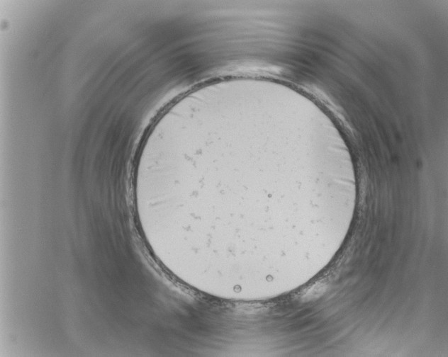 X0000061150848200512091957