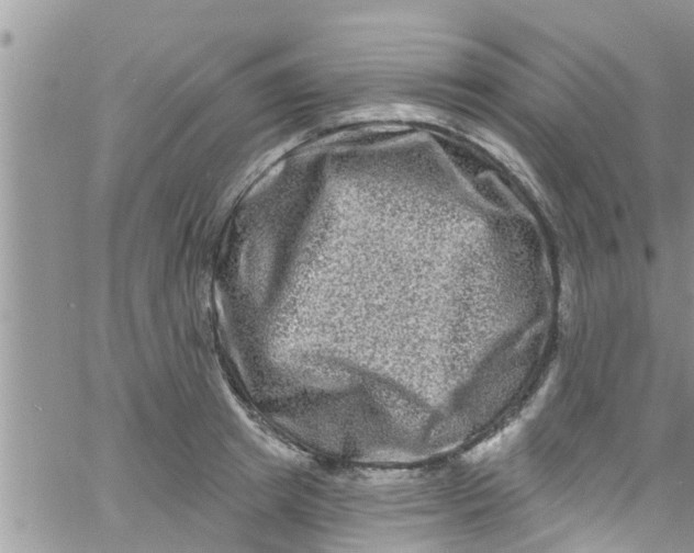 X0000061150849200512091957