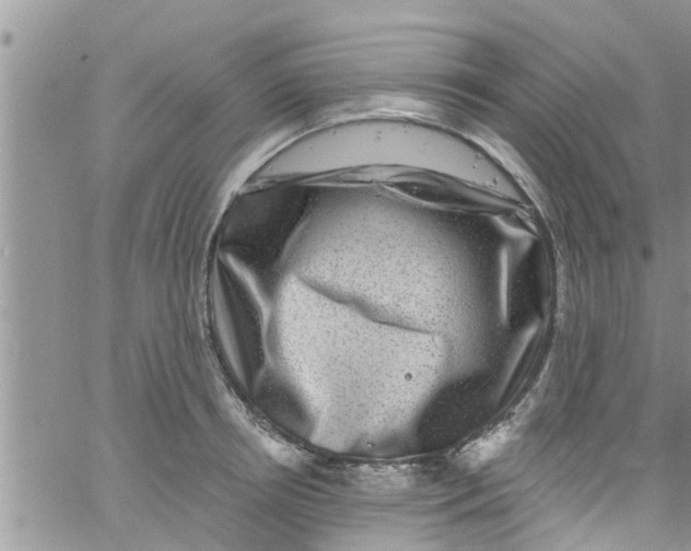 X0000061150850200512091957