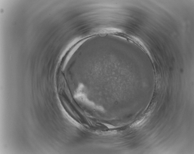 X0000061150851200512091957