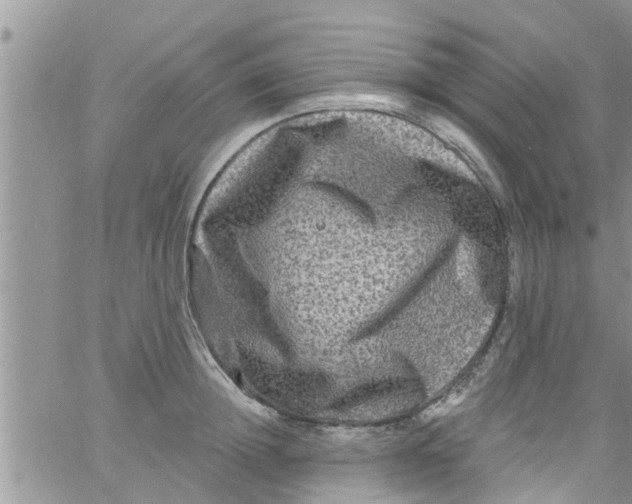 X0000061150852200512091957