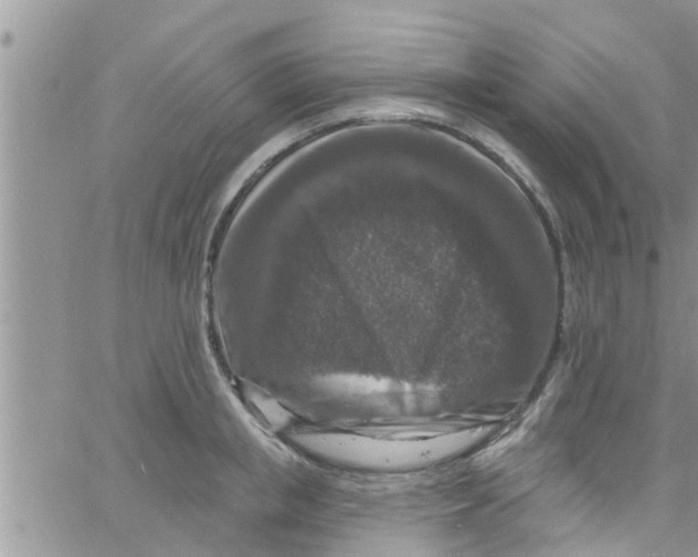 X0000061150853200512091957