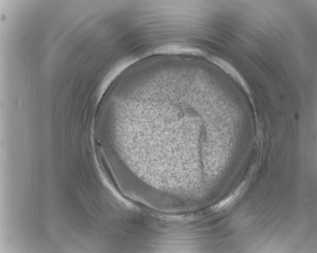 X0000061150855200512091957