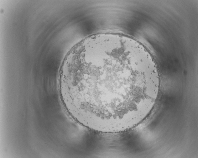 X0000061150856200512091957