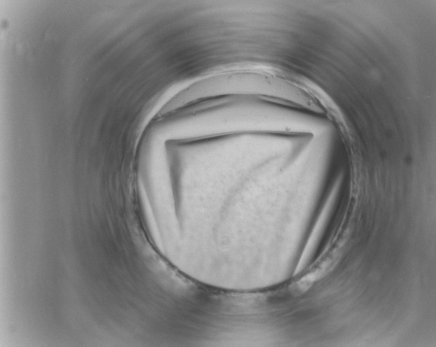 X0000061150860200512091957