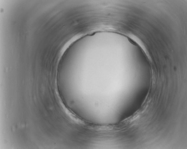 X0000061150861200512091957