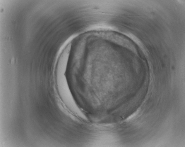 X0000061150864200512091957