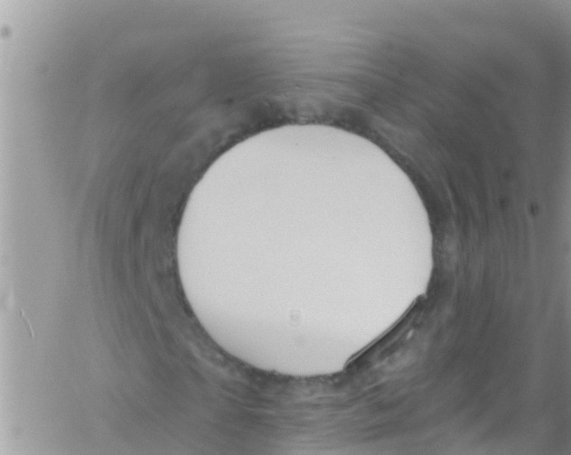 X0000061150865200512091957