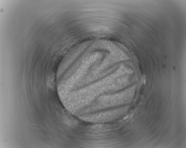 X0000061150867200512091957