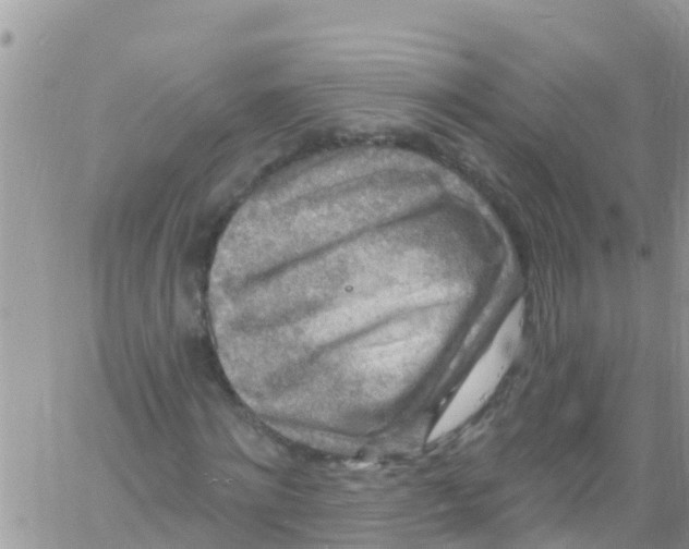 X0000061150868200512091957