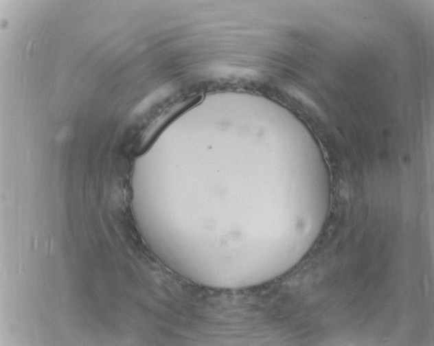 X0000061150869200512091957