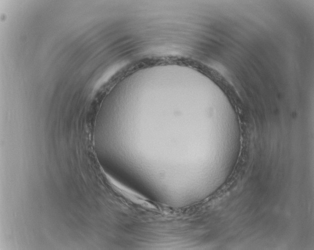 X0000061150871200512091957