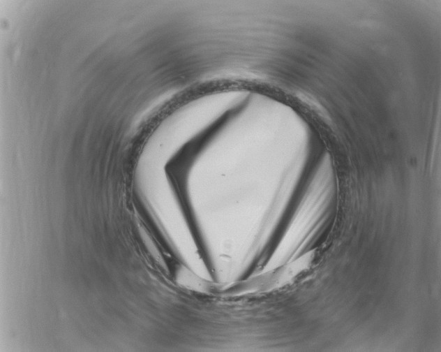 X0000061150872200512091956