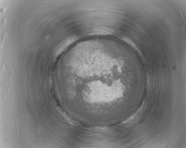 X0000061150874200512091956