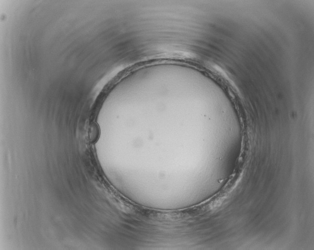 X0000061150875200512091956