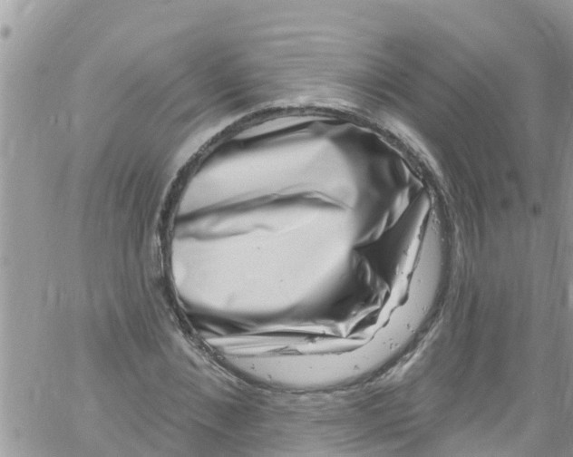 X0000061150876200512091956