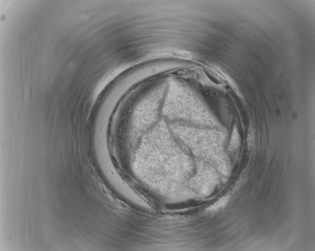 X0000061150877200512091956