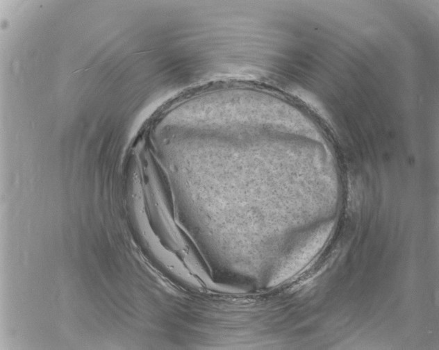 X0000061150878200512091956