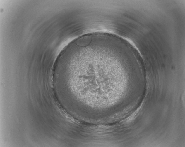 X0000061150879200512091956