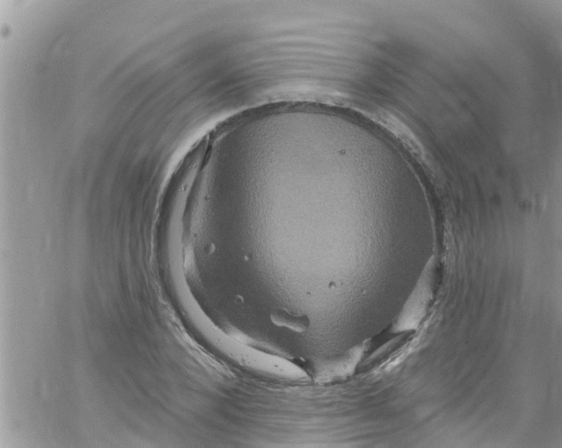 X0000061150880200512091956