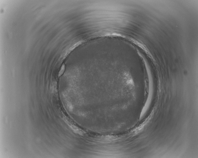 X0000061150881200512091956