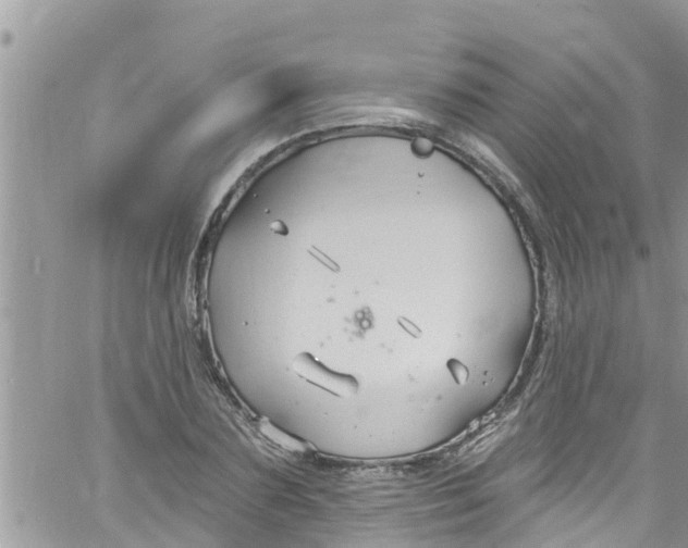 X0000061150883200512091956