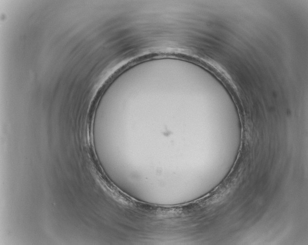 X0000061150887200512091956