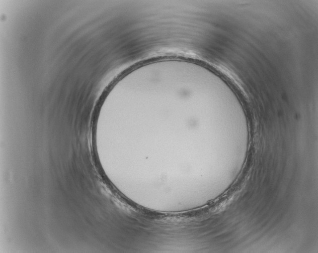 X0000061150888200512091956