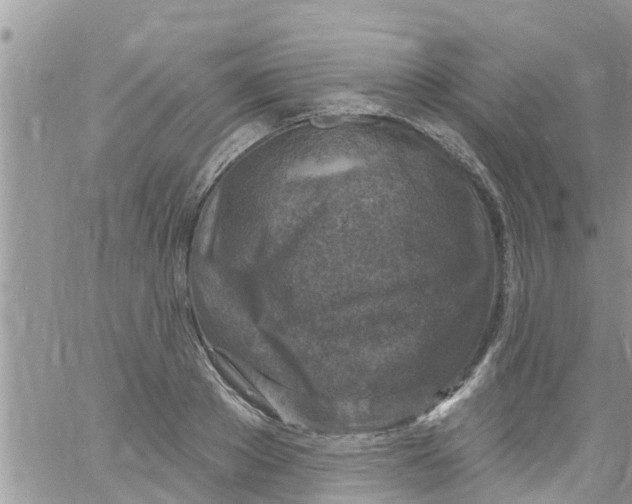 X0000061150889200512091956