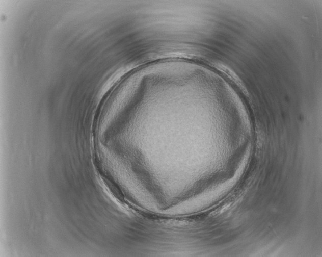 X0000061150890200512091956