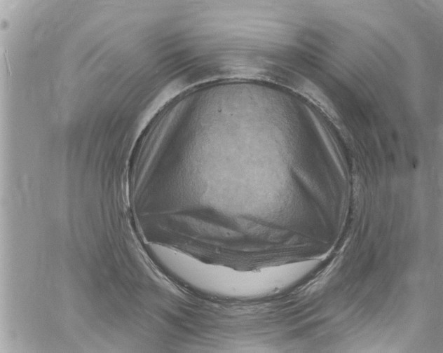 X0000061150891200512091956