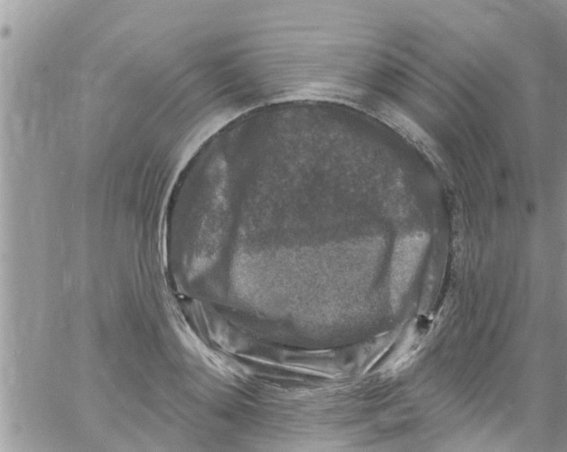 X0000061150892200512091956