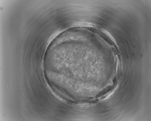 X0000061150893200512091956