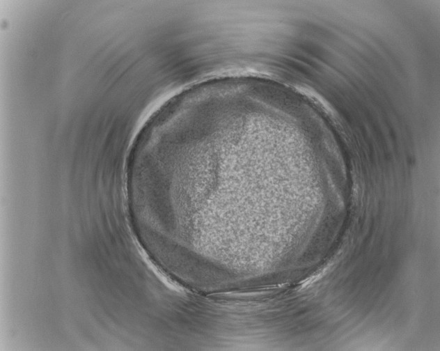 X0000061150894200512091956