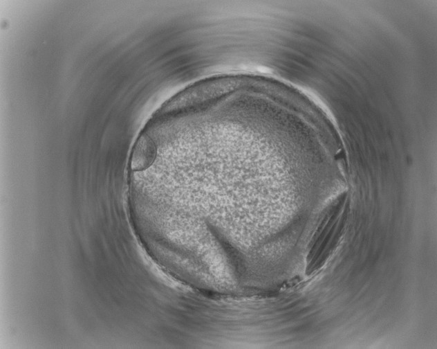 X0000061150895200512091956