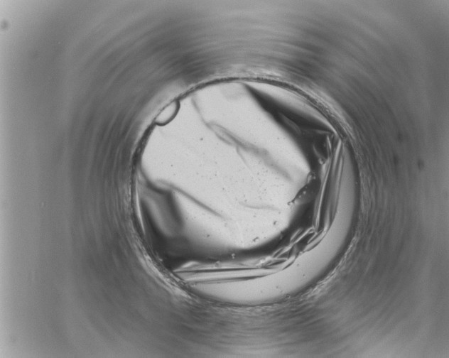 X0000061150896200512091956