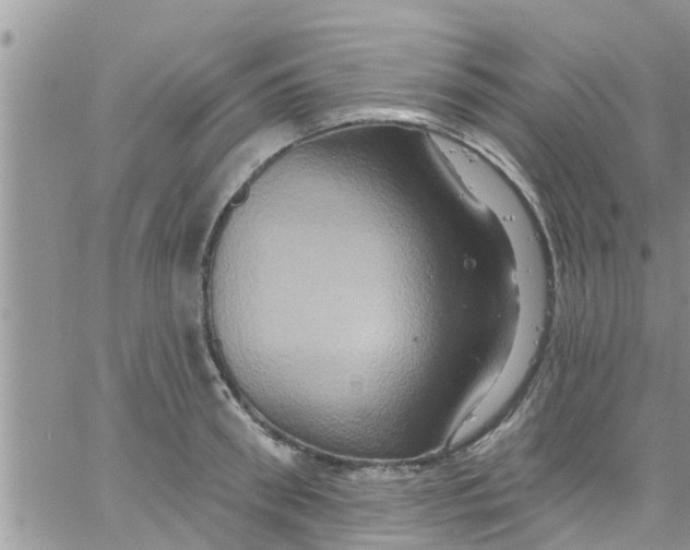 X0000061150898200512091956