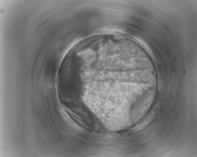 X0000061150899200512091956