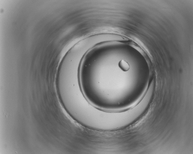 X0000061150901200512091956