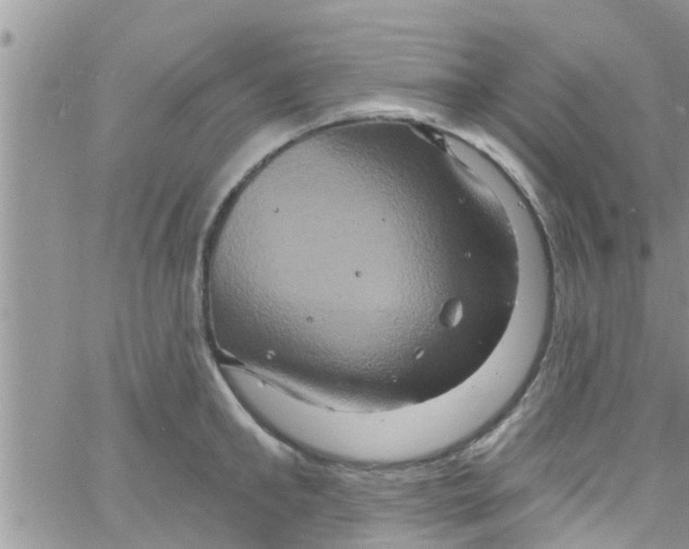 X0000061150902200512091956