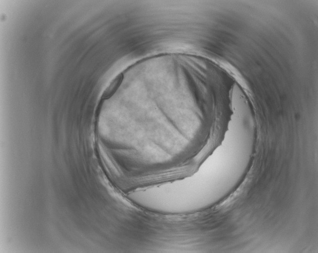 X0000061150904200512091956