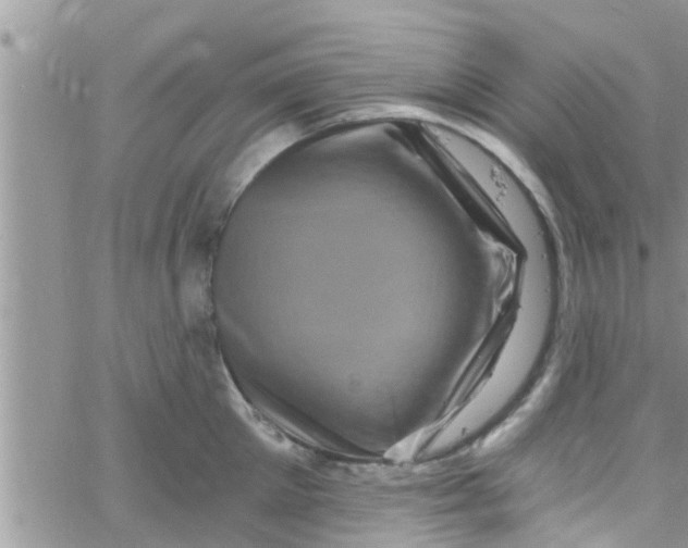 X0000061150905200512091956