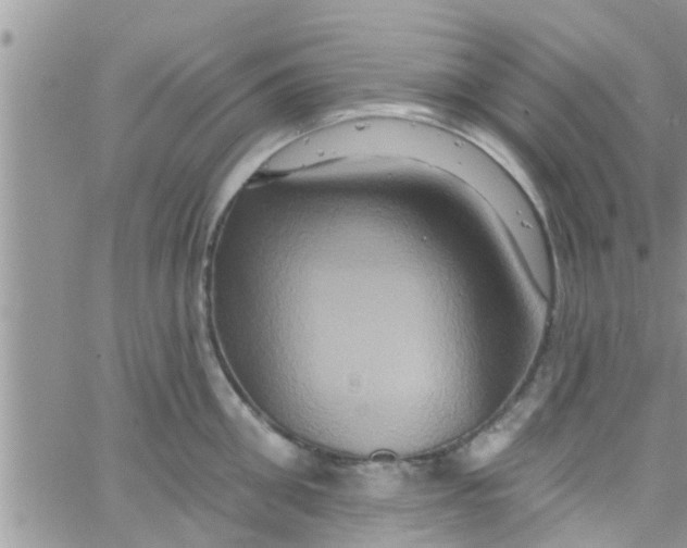 X0000061150906200512091956