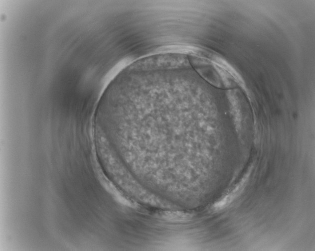 X0000061150907200512091956