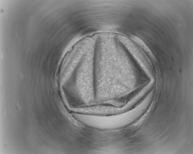 X0000061150908200512091956