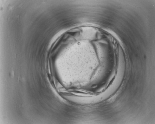 X0000061150910200512091956