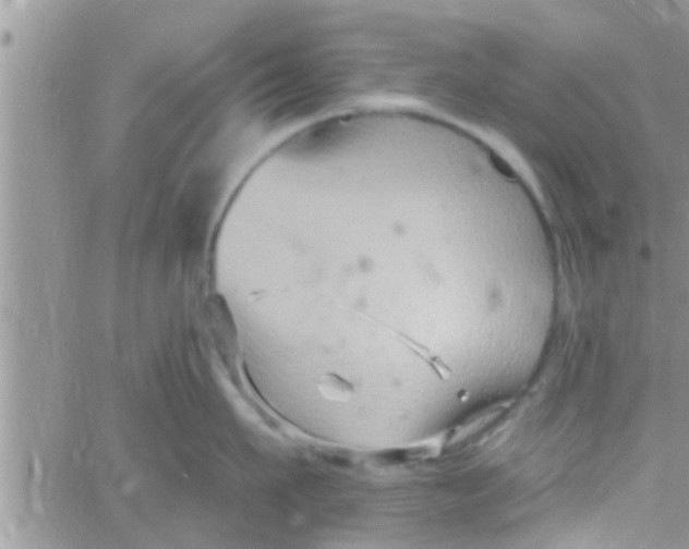 X0000061150911200512091956