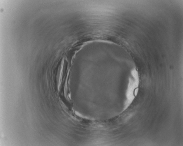 X0000061150913200512091955