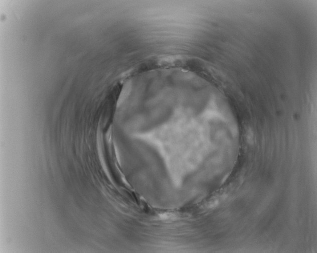 X0000061150914200512091955