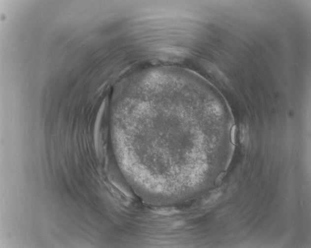 X0000061150915200512091955